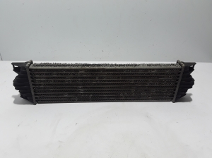 RENAULT Mascott (1999–2010) Vahejahuti radiaator 5010382814 - 2
