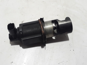  EGR valve 