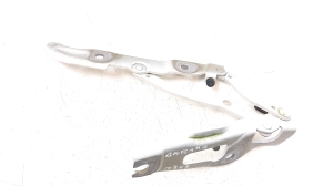   Trunk lid hinge  - 7060627 