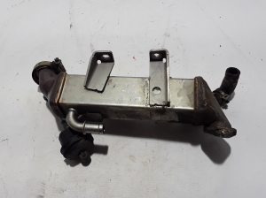 RENAULT Koleos (2007–2016) EGR-klapi jahuti 8200719993 - 3