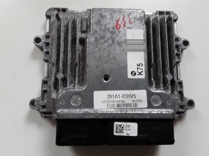 Engine control unit - A2C1984480101