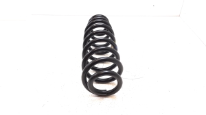 Kia Niro (2016–2022) Front spring - 4