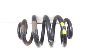   Tagumine vedru  -  