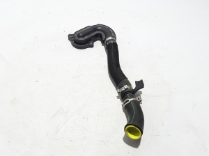Durite de radiateur de refroidissement - 210452448R