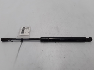 Tagaluugi amortisaator - 9483297
