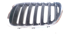 BMW X5 E53 (1999–2006) Motorhaubengitter BM070162 - 2