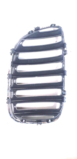 BMW X5 E53 (1999–2006) Motorhaubengitter BM070162 - 3