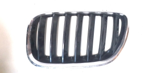 BMW X5 E53 (1999–2006) Motorhaubengitter BM070162