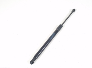   Trunk lid shock absorber 