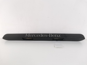License plate light housing - A6397432630