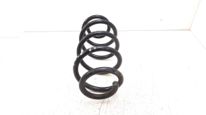  Front spring 