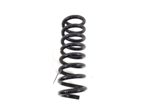   Feder hinten  - A2023242504 