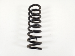 Rear spring - A2023242504