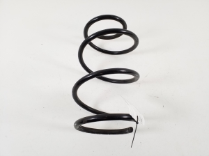Front spring