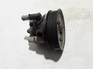   Servopumpe  - 491100100R 