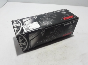 Front spring - 6025304378