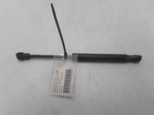 Hood prop/gas strut - 9154605