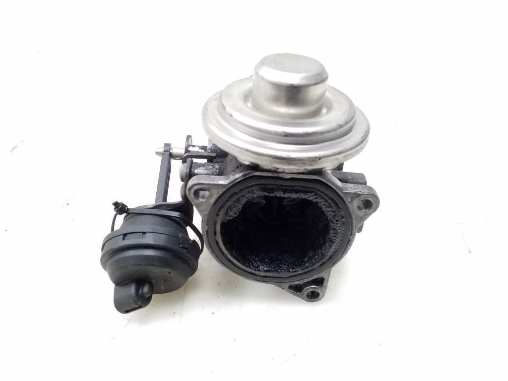 VOLKSWAGEN Sharan 1 generation (1995-2010) EGR Valve 038131501J 25041454