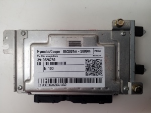 Engine control unit - 3910626760 