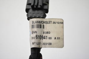 Ford C-MAX (2003–2010) Zündkabel 9661094180 - 3