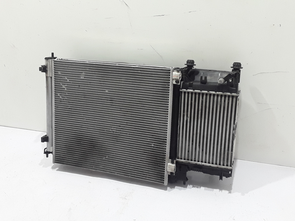 RENAULT Kadjar 1 generation (2015-2024) Aušinimo radiatorių komplektas 22425319