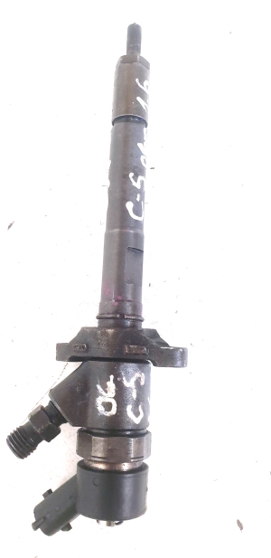Citroen C5 I (2001–2008) Injektor Einspritzdüse 0445110259