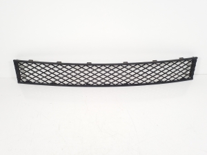   Front bumper lower grille  - 7183870 