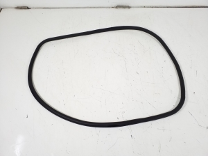   Front door weatherstrip  - 7177999 