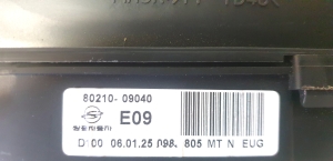 SsangYong Kyron (2005–2015) Mērinstrumentu panelis 80210-09040 - 2