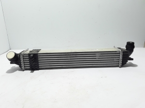 Vahejahuti radiaator - 144965690R