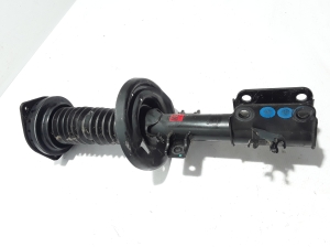 RENAULT Latitude (2010–2017) Eesmine amortisaator 513025835R - 3