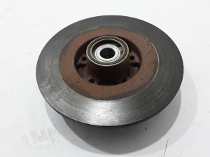 Bremsscheibe hinten - 432000015R