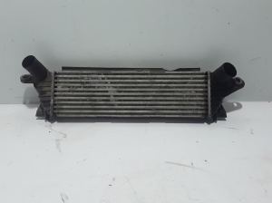RENAULT Kangoo (1997–2009) Ladeluftkühler 8200140970 - 3