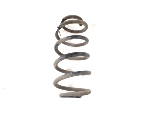   Rear spring 