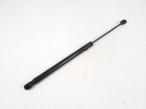   Trunk lid shock absorber 