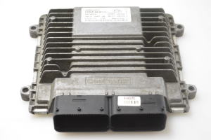 Motorsteuergerät - 391012G710