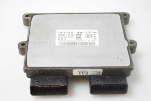 Engine control unit - 391063C101
