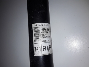  Rear shock absorber 