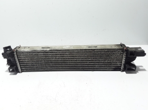 RENAULT Trafic III (2014–2022) Vahejahuti radiaator 144960050R - 3