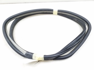 Rear side door seal