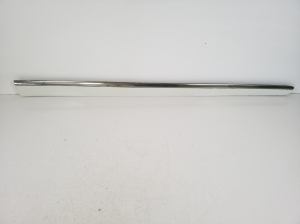   Front door molding  - A1646905262 