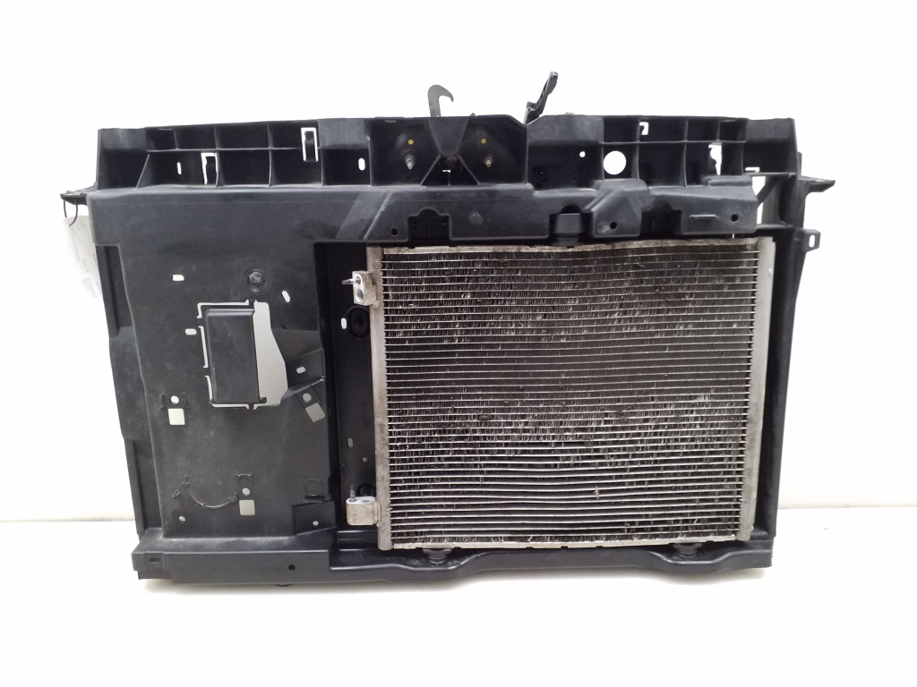 CITROËN C3 2 generation (2009-2016) Cooling Parts 870860300 25058126