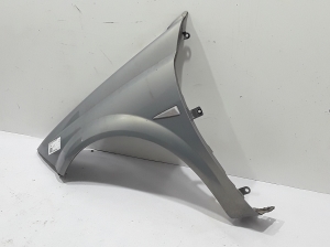 RENAULT Megane II (2002–2009) Front fender 7701474922 - 2