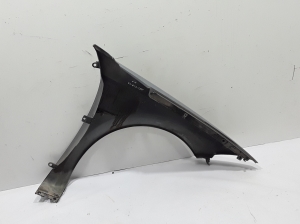 RENAULT Megane II (2002–2009) Front fender 7701474922 - 3