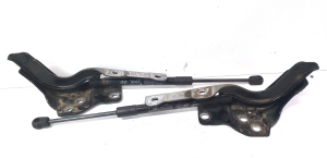 Scharnier Motorhaube - 81171-3Z000