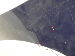 Dacia Sandero (2008–2012) Front fender 631005695R - 2