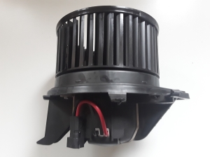  Salona plecu motors 