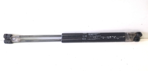 Trunk lid strut - 