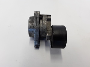 RENAULT Master II (1998–2010) Riemenspanner 0802410121 - 3