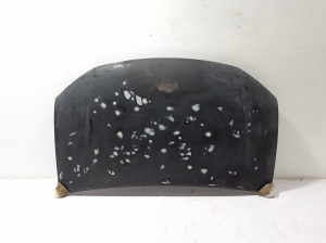 Dacia Sandero (2012–2021) Hood 651001918R - 3